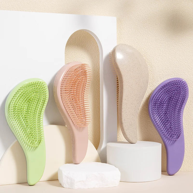 DetangleHairbrush