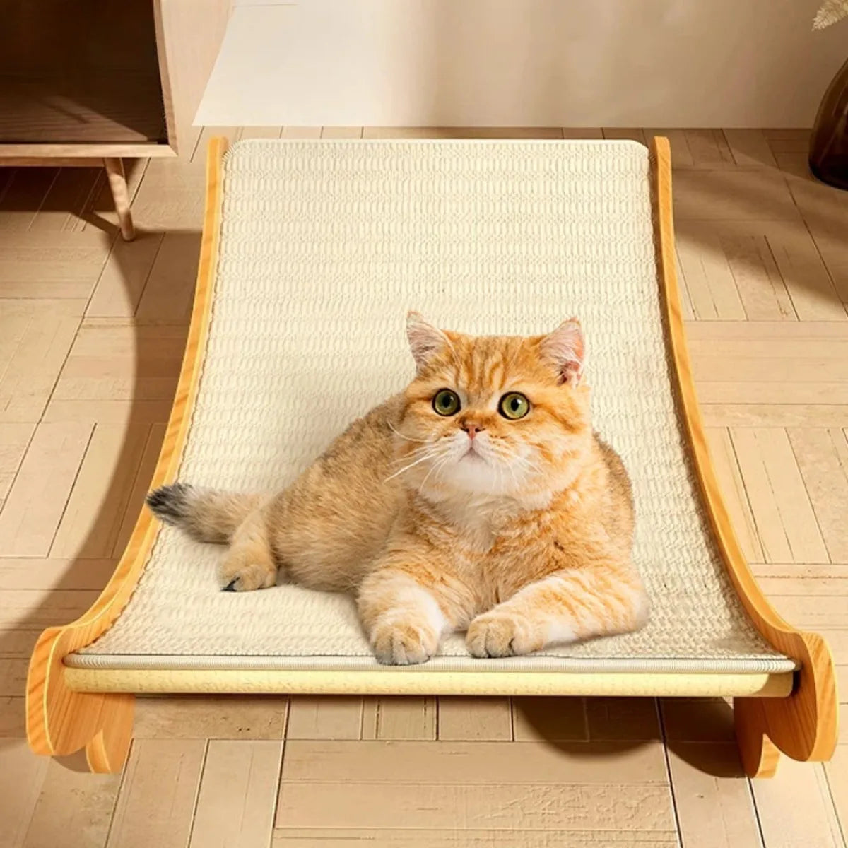 Wooden Cat Scratching and Sleeping Bed